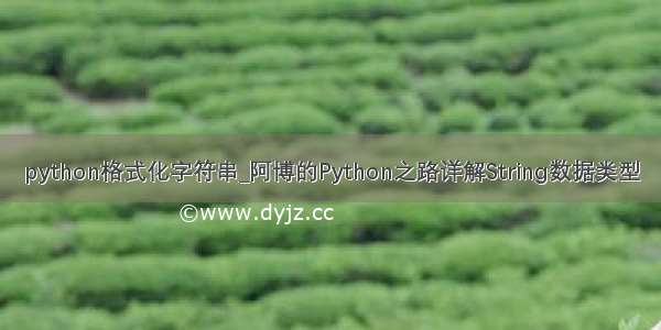 python格式化字符串_阿博的Python之路详解String数据类型