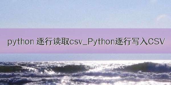 python 逐行读取csv_Python逐行写入CSV