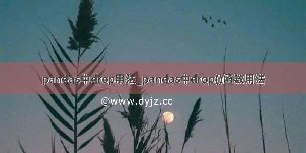 pandas中drop用法_pandas中drop()函数用法