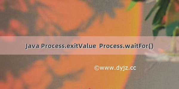 Java Process.exitValue  Process.waitFor()