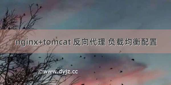 nginx+tomcat 反向代理 负载均衡配置