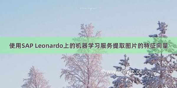 使用SAP Leonardo上的机器学习服务提取图片的特征向量