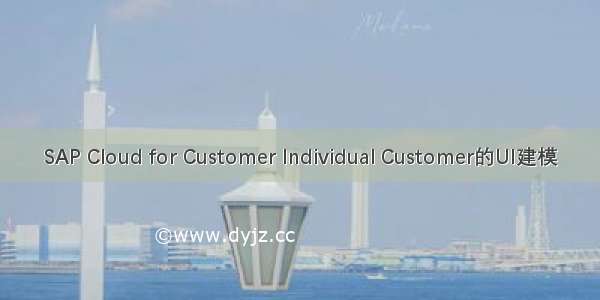 SAP Cloud for Customer Individual Customer的UI建模