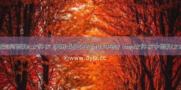 linux里如何创建c文件夹 使用c语言在Linux中的/ tmp文件夹中创建文本文件