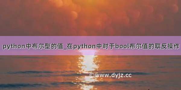 python中布尔型的值_在python中对于bool布尔值的取反操作