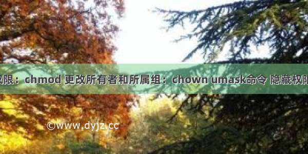 Linux文件和目录权限：chmod 更改所有者和所属组：chown umask命令 隐藏权限：lsattr/chattr...