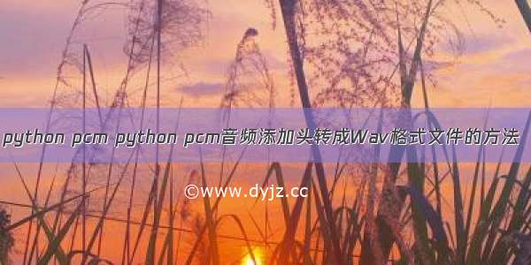 python pcm python pcm音频添加头转成Wav格式文件的方法