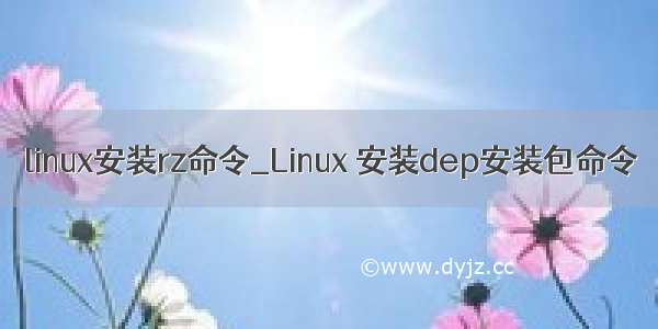 linux安装rz命令_Linux 安装dep安装包命令