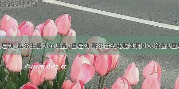 40无法u盘启动_戴尔主板bios设置u盘启动 戴尔台式电脑如何bios设置U盘启动教程...