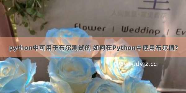 python中可用于布尔测试的 如何在Python中使用布尔值?