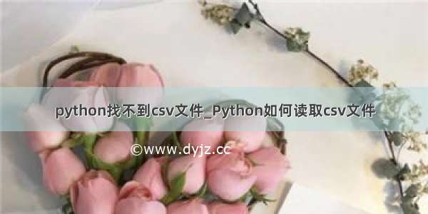 python找不到csv文件_Python如何读取csv文件