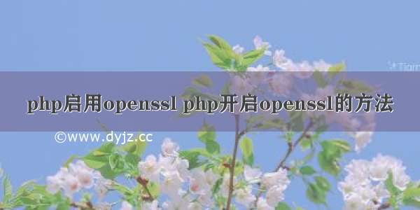 php启用openssl php开启openssl的方法