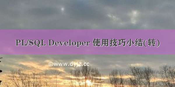 PL/SQL Developer 使用技巧小结(转)