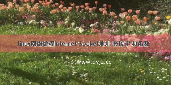 linux网络编程Internet Socket地址 套接字 和函数