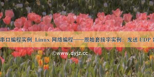 linux串口编程实例_Linux 网络编程——原始套接字实例：发送 UDP 数据包