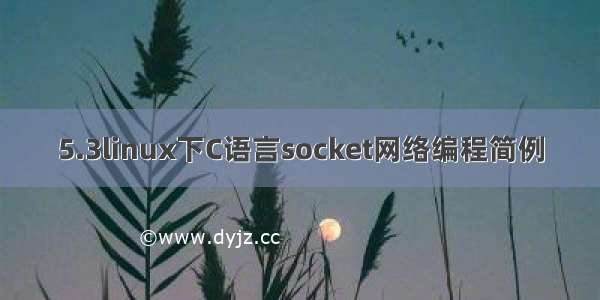 5.3linux下C语言socket网络编程简例