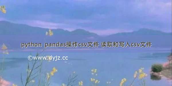 python  pandas操作csv文件 读取和写入csv文件