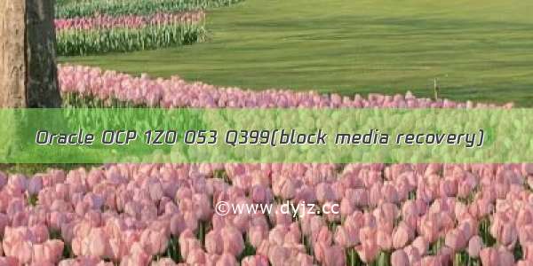 Oracle OCP 1Z0 053 Q399(block media recovery)