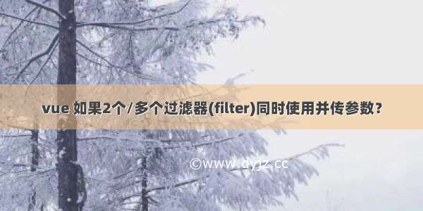 vue 如果2个/多个过滤器(filter)同时使用并传参数？