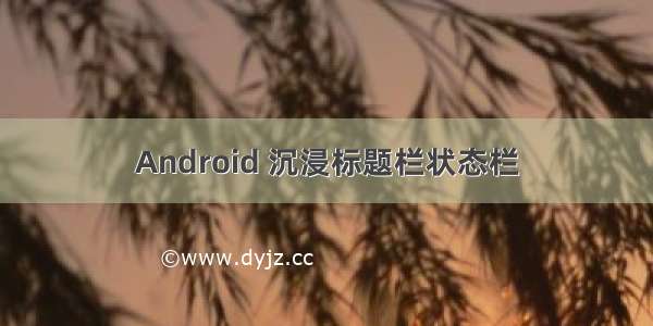 Android 沉浸标题栏状态栏