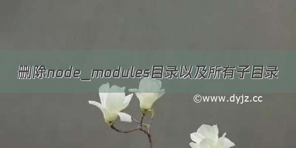 删除node_modules目录以及所有子目录