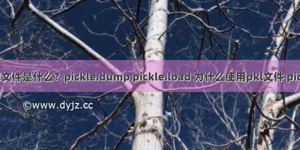 pkl文件是什么？pickle.dump pickle.load 为什么使用pkl文件 pickle