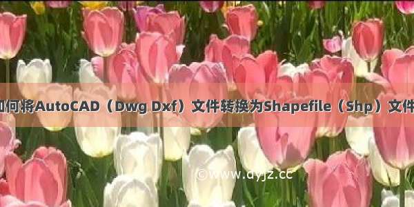 如何将AutoCAD（Dwg Dxf）文件转换为Shapefile（Shp）文件？