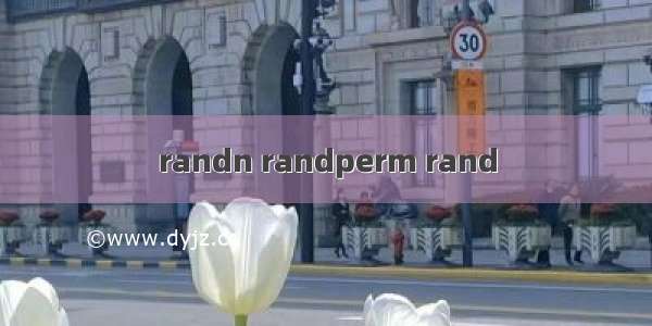 randn randperm rand