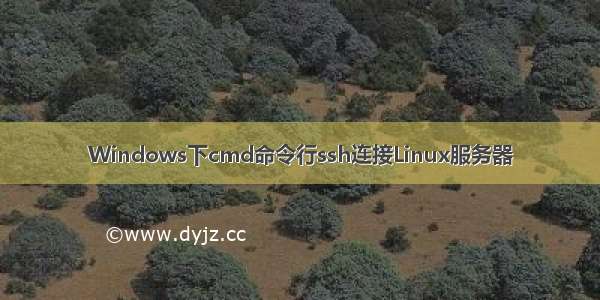 Windows下cmd命令行ssh连接Linux服务器