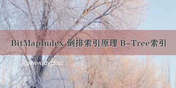 BitMapIndex 倒排索引原理 B-Tree索引