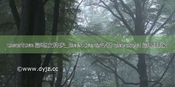 smartsvn 忽略文件夹_linux svn 命令行 checkout 忽略目录