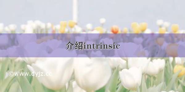 介绍intrinsic