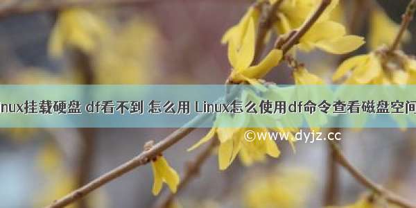 linux挂载硬盘 df看不到 怎么用 Linux怎么使用df命令查看磁盘空间