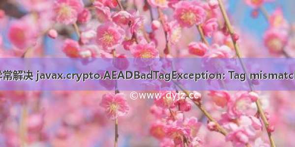 异常解决 javax.crypto.AEADBadTagException: Tag mismatch!