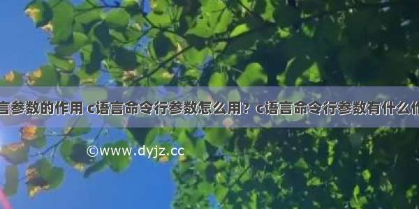 c语言参数的作用 c语言命令行参数怎么用？c语言命令行参数有什么作用？