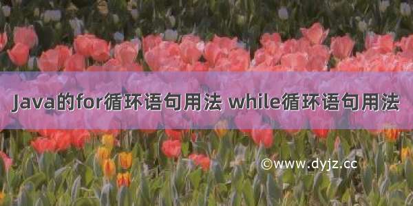 Java的for循环语句用法 while循环语句用法