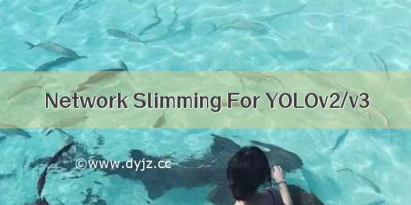 Network Slimming For YOLOv2/v3