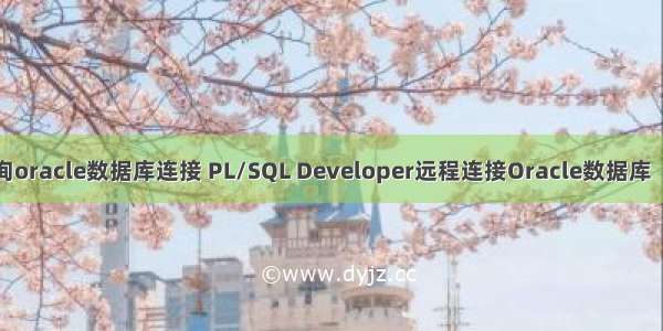 sql远程查询oracle数据库连接 PL/SQL Developer远程连接Oracle数据库（可以使用）