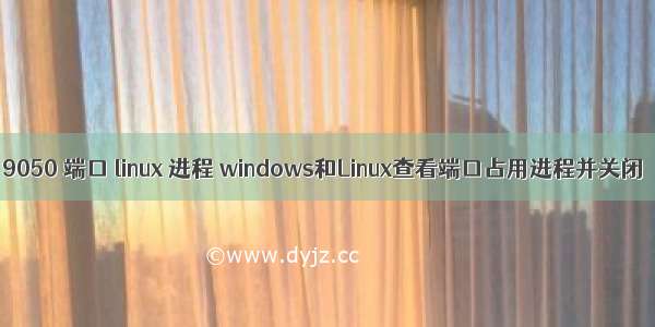 9050 端口 linux 进程 windows和Linux查看端口占用进程并关闭