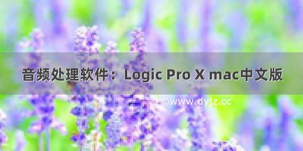 音频处理软件：Logic Pro X mac中文版