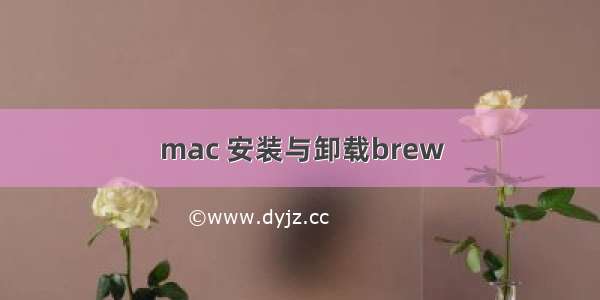 mac 安装与卸载brew