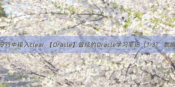 Oracle在命令行中输入clear 【Oracle】曾经的Oracle学习笔记（1-3） 数据库常见用语