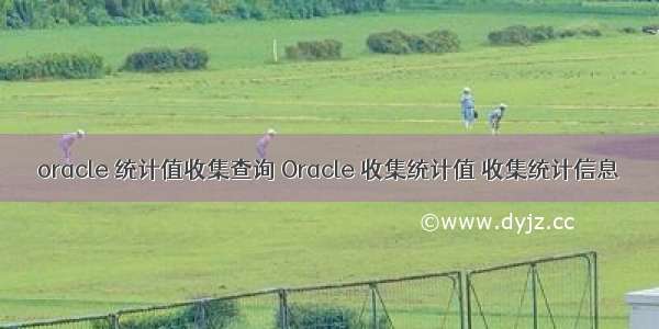 oracle 统计值收集查询 Oracle 收集统计值 收集统计信息