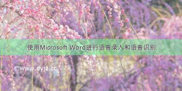 使用Microsoft Word进行语音录入和语音识别