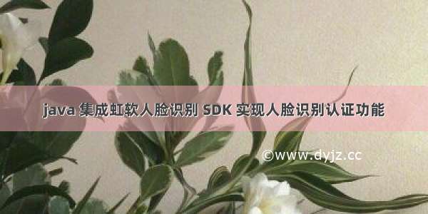 java 集成虹软人脸识别 SDK 实现人脸识别认证功能