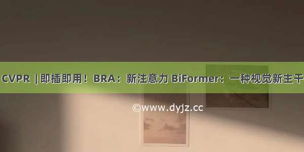 CVPR  | 即插即用！BRA：新注意力 BiFormer：一种视觉新主干