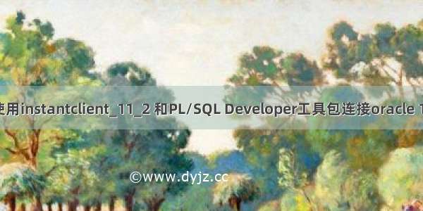 oracle加hib 使用instantclient_11_2 和PL/SQL Developer工具包连接oracle 11g远程数据库