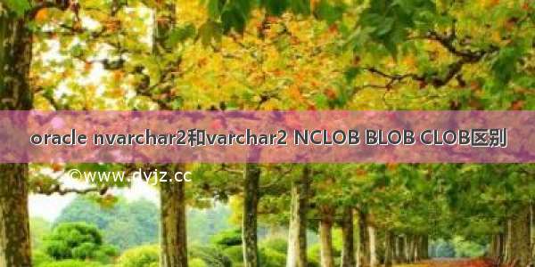 oracle nvarchar2和varchar2 NCLOB BLOB CLOB区别