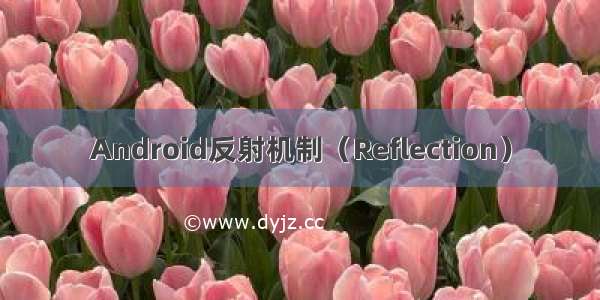 Android反射机制（Reflection）
