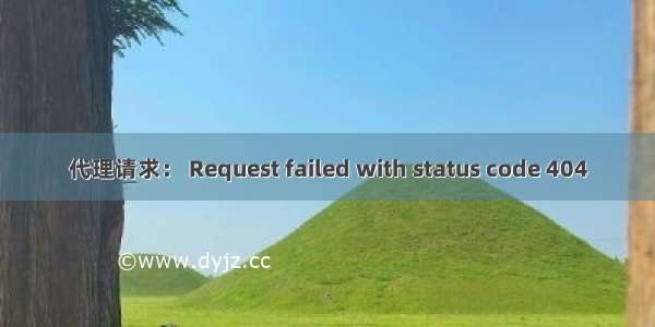 代理请求： Request failed with status code 404